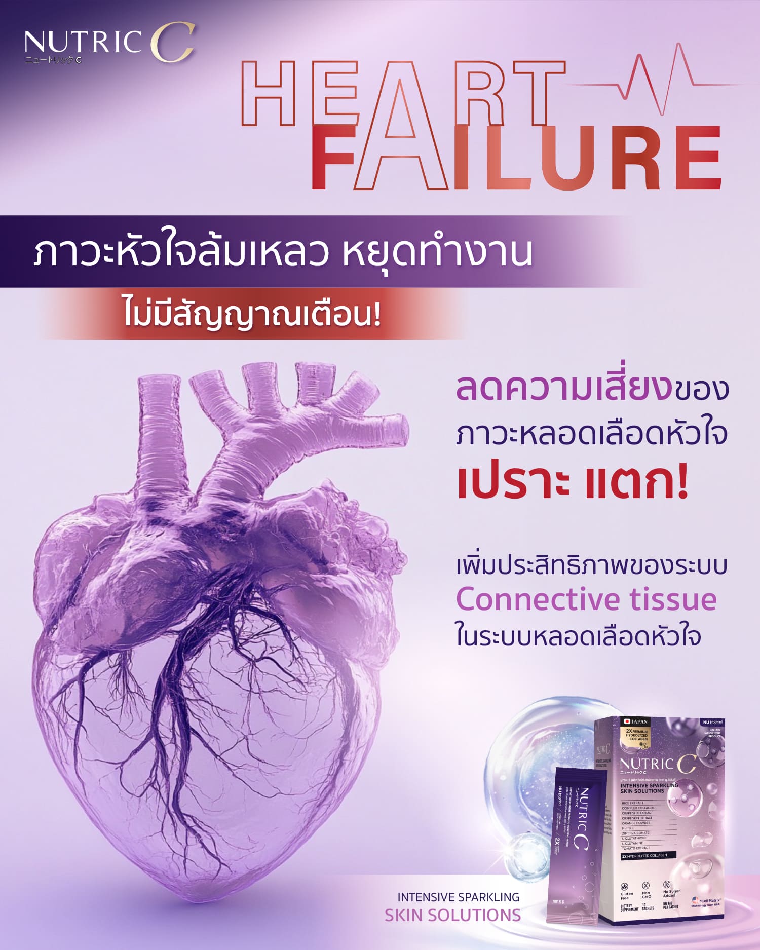 c Connective tissue ในระบบหลอดเลือดหัวใจ